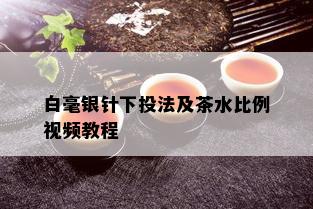 白毫银针下投法及茶水比例视频教程