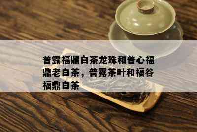 普露福鼎白茶龙珠和普心福鼎老白茶，普露茶叶和福谷福鼎白茶