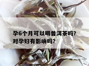 孕6个月可以喝普洱茶吗？对孕妇有影响吗？