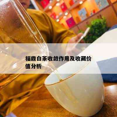 福鼎白茶收敛作用及收藏价值分析