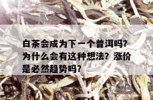 白茶会成为下一个普洱吗？为什么会有这种想法？涨价是必然趋势吗？