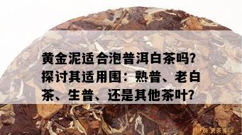 黄金泥适合泡普洱白茶吗？探讨其适用围：熟普、老白茶、生普、还是其他茶叶？