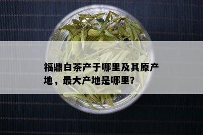 福鼎白茶产于哪里及其原产地，更大产地是哪里？