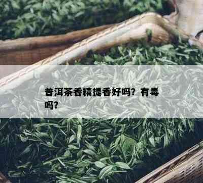 普洱茶香精提香好吗？有吗？