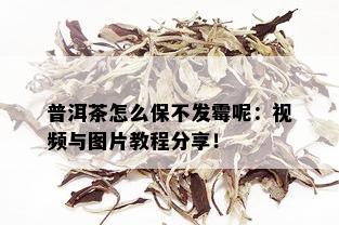 普洱茶怎么保不发霉呢：视频与图片教程分享！