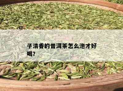 子清香的普洱茶怎么泡才好喝？