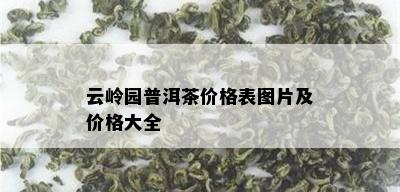 云岭园普洱茶价格表图片及价格大全