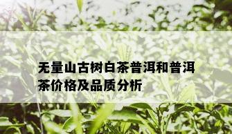 无量山古树白茶普洱和普洱茶价格及品质分析