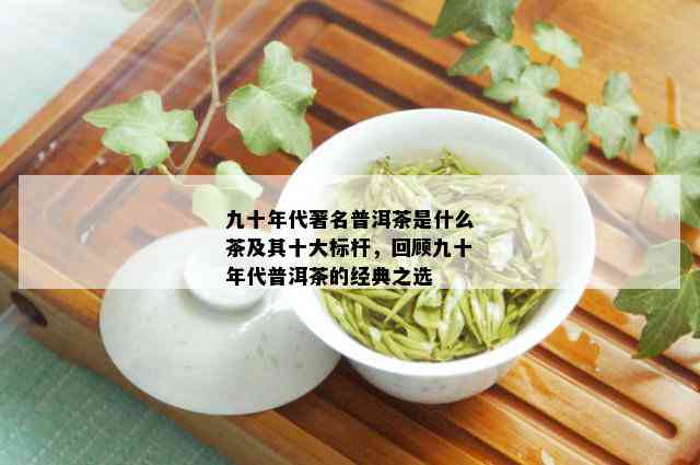 九十年代著名普洱茶是什么茶及其十大标杆，回顾九十年代普洱茶的经典之选