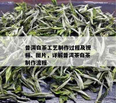 普洱白茶工艺制作过程及视频、图片，详解普洱茶白茶制作流程