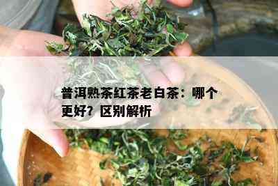 普洱熟茶红茶老白茶：哪个更好？区别解析