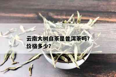 云南大树白茶是普洱茶吗？价格多少？