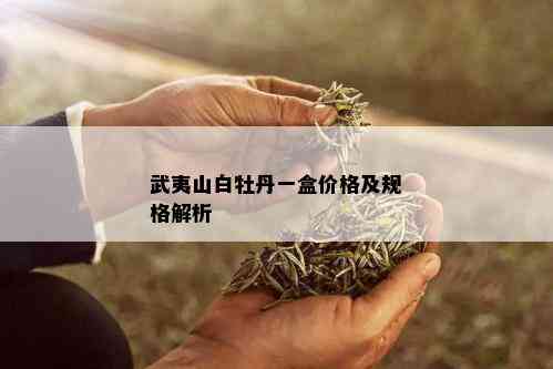 武夷山白牡丹一盒价格及规格解析