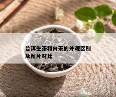 普洱生茶和白茶的外观区别及图片对比