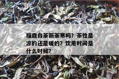 福鼎白茶新茶寒吗？茶性是凉的还是暖的？饮用时间是什么时候？