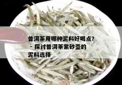 普洱茶用哪种泥料好喝点？ - 探讨普洱茶紫砂壶的泥料选择