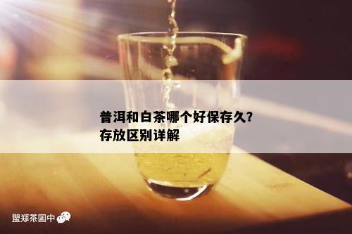 普洱和白茶哪个好保存久？存放区别详解