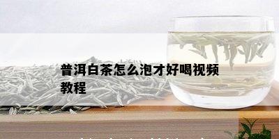 普洱白茶怎么泡才好喝视频教程