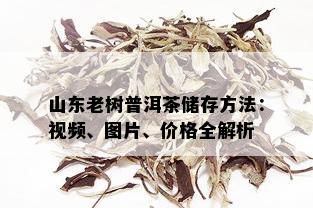 山东老树普洱茶储存方法：视频、图片、价格全解析