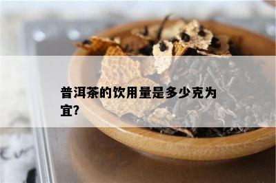 普洱茶的饮用量是多少克为宜？