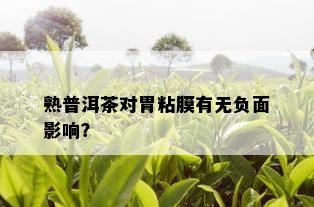 熟普洱茶对胃粘膜有无负面影响？