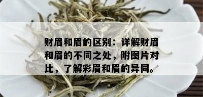 财眉和眉的区别：详解财眉和眉的不同之处，附图片对比，了解彩眉和眉的异同。