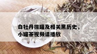 白牡丹拔罐及相关黑历史，小罐茶视频请播放