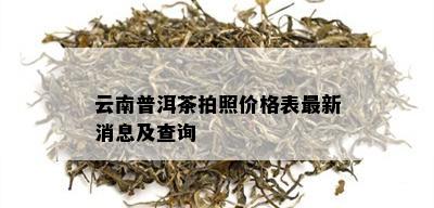 云南普洱茶拍照价格表最新消息及查询