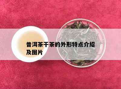 普洱茶干茶的外形特点介绍及图片