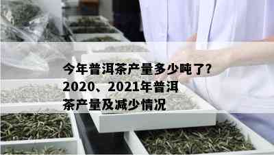 今年普洱茶产量多少吨了？2020、2021年普洱茶产量及减少情况