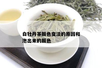 白牡丹茶颜色变淡的原因和泡出来的颜色