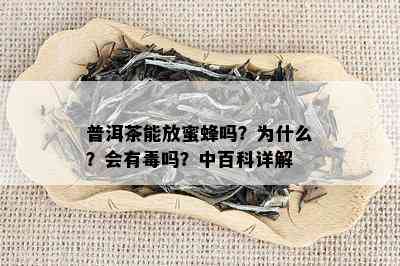 普洱茶能放蜜蜂吗？为什么？会有吗？中百科详解