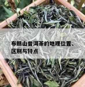 布朗山普洱茶的地理位置、区别与特点