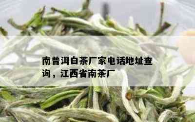 南普洱白茶厂家电话地址查询，江西省南茶厂