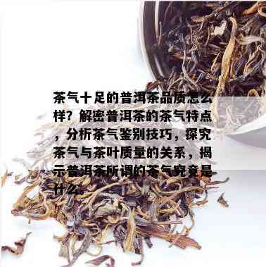 茶气十足的普洱茶品质怎么样？解密普洱茶的茶气特点，分析茶气鉴别技巧，探究茶气与茶叶质量的关系，揭示普洱茶所谓的茶气究竟是什么。