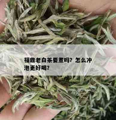 福鼎老白茶要煮吗？怎么冲泡更好喝？