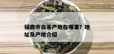 福鼎市白茶产地在哪里？地址及产地介绍