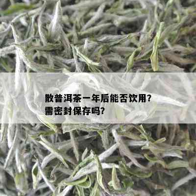 散普洱茶一年后能否饮用？需密封保存吗？