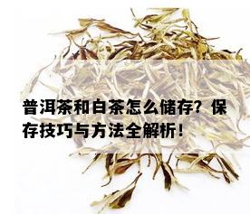 普洱茶和白茶怎么储存？保存技巧与方法全解析！