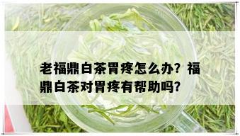 老福鼎白茶胃疼怎么办？福鼎白茶对胃疼有帮助吗？