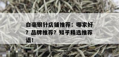 白毫银针店铺推荐：哪家好？品牌推荐？知乎精选推荐语！