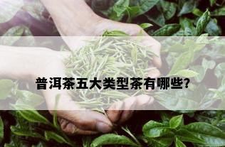 普洱茶五大类型茶有哪些？