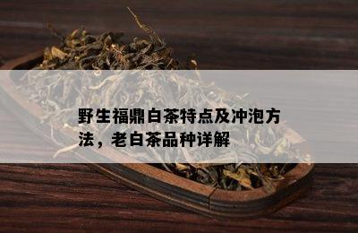 野生福鼎白茶特点及冲泡方法，老白茶品种详解