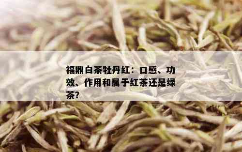 福鼎白茶牡丹红：口感、功效、作用和属于红茶还是绿茶？