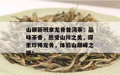 山巅新班章龙骨普洱茶：品味茶香，感受山川之美，探索珍稀龙骨，体验山巅峰之旅！