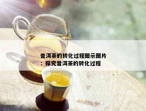 普洱茶的转化过程图示图片：探究普洱茶的转化过程