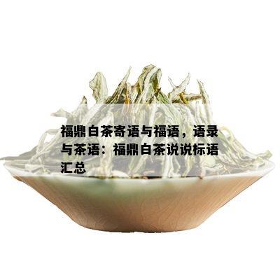 福鼎白茶寄语与福语，语录与茶语：福鼎白茶说说标语汇总