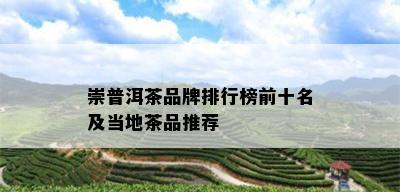 崇普洱茶品牌排行榜前十名及当地茶品推荐