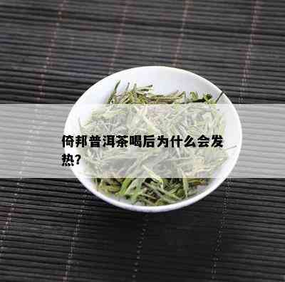 倚邦普洱茶喝后为什么会发热？