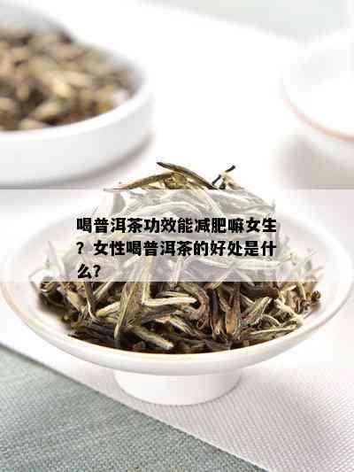 喝普洱茶功效能减肥嘛女生？女性喝普洱茶的好处是什么？